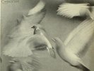 Donald Byrd-Free Form-Blue Note 4118-NEW YORK USA