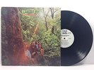DOUGLAS FIR: Hard Heartsingin, Rare Psych, Quad PROMO QUS 5002, VG+ Vinyl