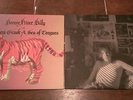 RARE Bonnie Prince Billy - Singer's Grave /A Sea of Tongues & BARELY REGAL 2x LP