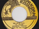 DESMOND YOUNG - WARNING 