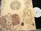 DEVENDRA BANHART-REJOICING IN THE HANDS & NINO ROJO-2 LPs