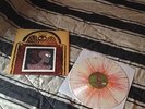 Melvins - The Bride Screamed Murder LP /100 Adam Jones (from TOOL) Cover NM OOP