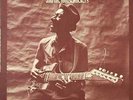 HOUND DOG TAYLOR & THE HOUSEROCKERS • 1971 STEREO PROMO LP ALLIGATOR 4701   NM