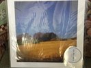 Sun Kil Moon BENJI 2 LP Blue Vinyl Rare First Pressing OOP