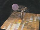 MIKE OLDFIELD / JON ANDERSON ‘SHINE’ SOUTH AFRICA PS 45 VINYL