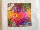 The Litter $100 FINE - RARE ORIGINAL PSYCH LP VINYL ALBUM MINNEAPOLIS