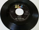 RARE INSTRO SURF GARAGE 45 / THE RUMBLERS / DOT 16421 / BOSS / I DON'T NEED YOU