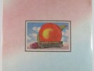 Rock LP ALLMAN BROTHERS BAND 