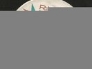 ROCK SURF MOD TITTYSHAKER INSTRO- EDGAR ALAN--PANIC BUTTON   -HEAR BOTH- RUST