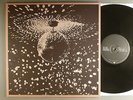 Neil Young  Mirror Ball    With Pearl Jam   German Press