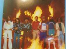 LYNYRD SKYNYRD STREET SURVIVORS SEALED LP ORIGINAL 1977 ON MCA  MINT