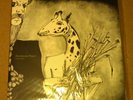 RARE MUSHROOMS PROJECT-UNDERGRASS 2XLP+10