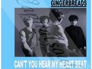 60S BEAT DECCA GOLDIE & THE GINGERBREADS CAN YOU HEAR MY HEART PICTURE SLEEVE