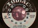 RUBY ANDREWS Just Loving You / The Love I Need 45 Zodiac Rare Northern Soul