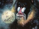 Extremely RARE Original 