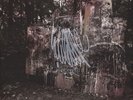 La Dispute - Wildlife Vinyl US 2LP