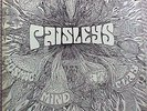 The PAISLEYS Cosmic Mind At Play 1970.RARE PRIVATE ORIG. PSYCH.FUZZ GUITAR, LP