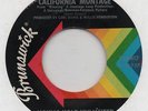 YOUNG-HOLT UNLIMITED-CALIFORNIA MONTAGE(CLASSIC-GREAT 'B' SIDE)-BRUNSWICK.