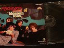 BLOSSOM TOES - THE PSYCHEDELIC SOUND OF / ORIG IT 1ST PRESS LP 1969 MONSTER RARE