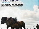BRUNO WALTER / Beethoven Symphony No.6 Pastorale / Columbia 6-EYE MS 6012 TAS LP