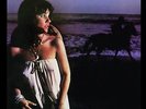 Linda Ronstadt - Hasten Down The Wind - 180 Gram -Mobile Fidelity Sound Lab  New