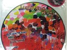 Yeah Yeah Yeahs - Fever To Hell 12