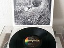 THE SEARCH PARTY Montgomery Chapel Century 32013 SHRINK Private OG 69 Psych Xian