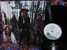 SCARCE BRITISH ISLAND 1970 MOTT THE HOOPLE   WILDLIFE Hard ROCK & CREEPY BALLADS