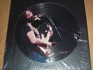 GRATEFUL DEAD Live at the Felt Forum (Picture Disc) - Image Disc Limited Edition