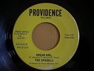 RARE NORTHERN SOUL  THE SPIEDELS  dream girl  PROVIDENCE 418DJ  MINT NOS
