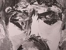 WHITE FENCE - For The Recently Found Innocent - LP