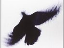Fallen Host - Blueneck (2012, Vinyl NEW)