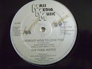 THE COOL-NOTES. I FORGOT HOW TO LOVE YOU. (VERY RARE DISCO / SOUL)