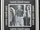 Uncle Walt's Band LP rare private Texas acoustic rural folk country blues HEAR