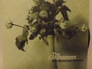 THE COURTEENERS NOT NINETEEN FOREVER 7
