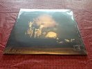PEARL JAM RIOT ACT VINYL RECORD 12” 33 RPM 2XALBUM GRUNGE EDDIE VEDDER ROCK MINT