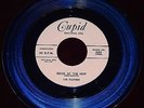 Dusters Rock At The Hop / She's Mine  New Old Stock Near Mint