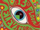 The Psychedelic Sounds of the 13th Floor Elevators vinyl lp new & sealed reissue