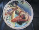 Vogue Picture Record Sonny dunham Save me a Dream Desert Fantasy R774