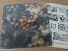 PINK FLOYD Obscured By the clouds LP 1*UK Press  1972 Harvest PROG Stupendo