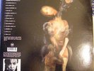 1995 RECORD ALBUM 3 LP SWANS RELATED PROJECT: M. GIRA DRAINLAND VINYL MINT