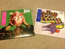 2 x MGMT 7