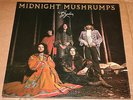 GRYPHON MIDNIGHT MUSHRUMPS ORIGINAL TRANSLANTIC A1 B1 PROGRESSIVE ROCK 33RPM