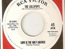 THE LOLLIPOPS Love Is The Only Answer RCA PROMO  NORTHERN SOUL 45