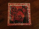 Jon Spencer Blues Explosion Melvins – Black Betty 7