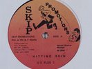 US PLUS 1 Hitting Skin SKIP 12