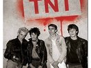 TNT - COMPLETE RECORDINGS DISKOGRAFIE  DoLP, swiss punk, nasal boys, dogbodys