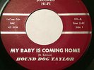 RARE BLACK ROCKER BLUES 45/HOUND DOG TAYLOR 