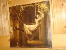 PORCUPINE TREE Signify KSCOPE 805 2x 180g UK LP NEU OVP NEW SS