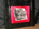 DADAISM 999 BOX The Misery Book with Edward Ka-Spel Kirlian Camera Sol Invictus